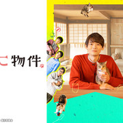 [MagicStar] 猫房屋 ねこ物件 EP09 [WEBDL] [1080p] [AMZN]【生】-ACG-二次元游戏动漫视频分享平台