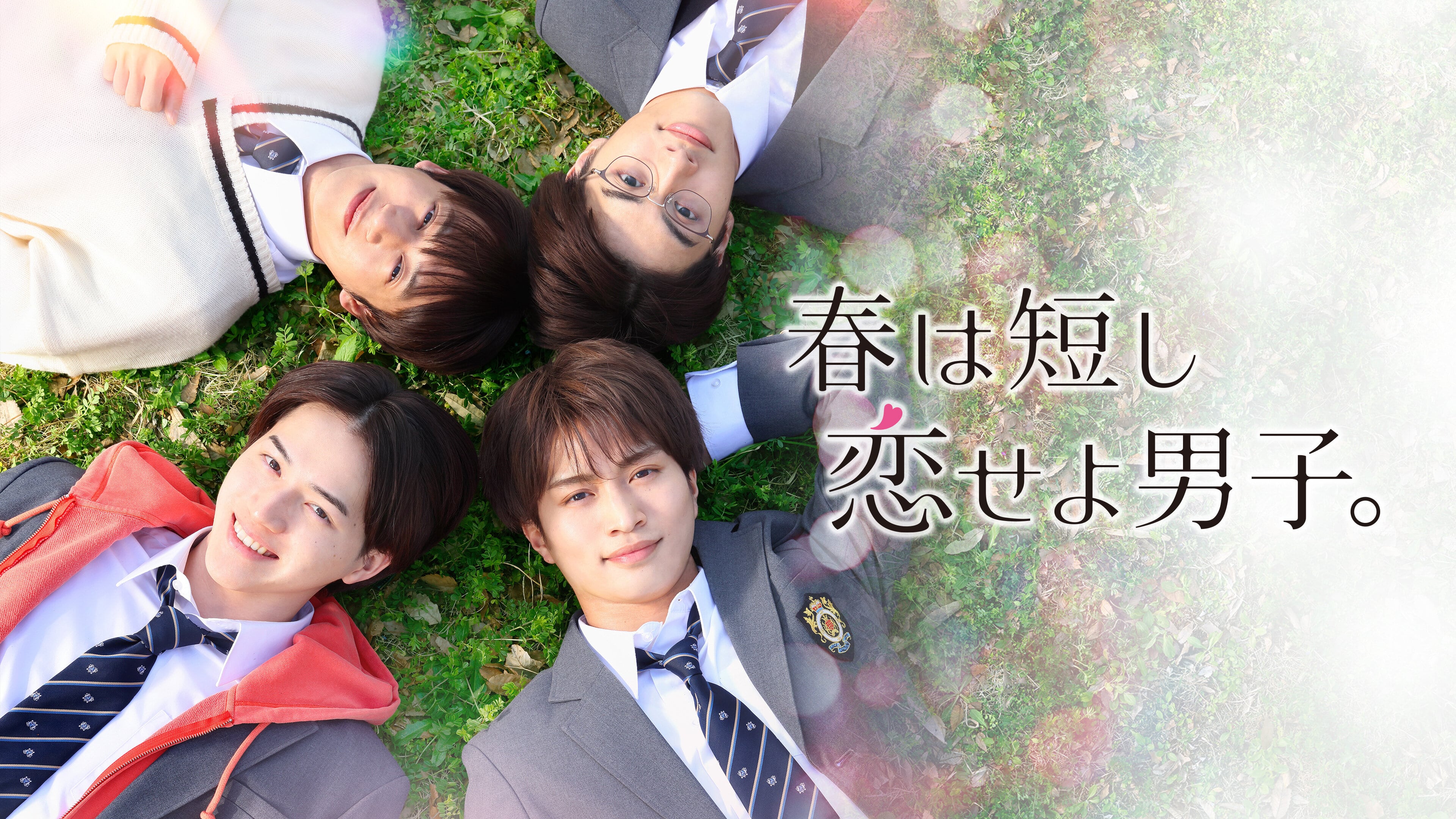 [MagicStar] 春日苦短 少年恋爱吧。 最终话 春は短し恋せよ男子。 EP10 END [WEBDL] [1080p] [HULU]【生】【附日字】-ACG-二次元游戏动漫视频分享平台