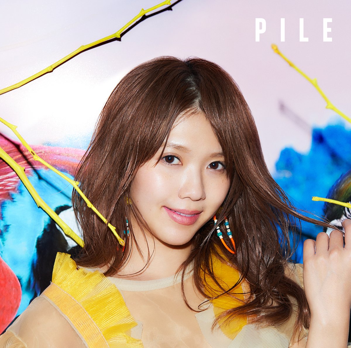 图片[2]-[160316]Pile 2nd Album「PILE」[320K]-ACG-二次元游戏动漫视频分享平台
