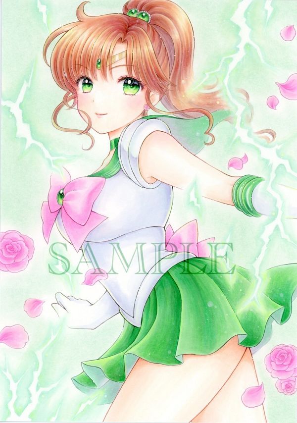Sailor Jupiter (Kino Makoto) by Pixiv Id 1010657 #4005223-ACG-二次元游戏动漫视频分享平台