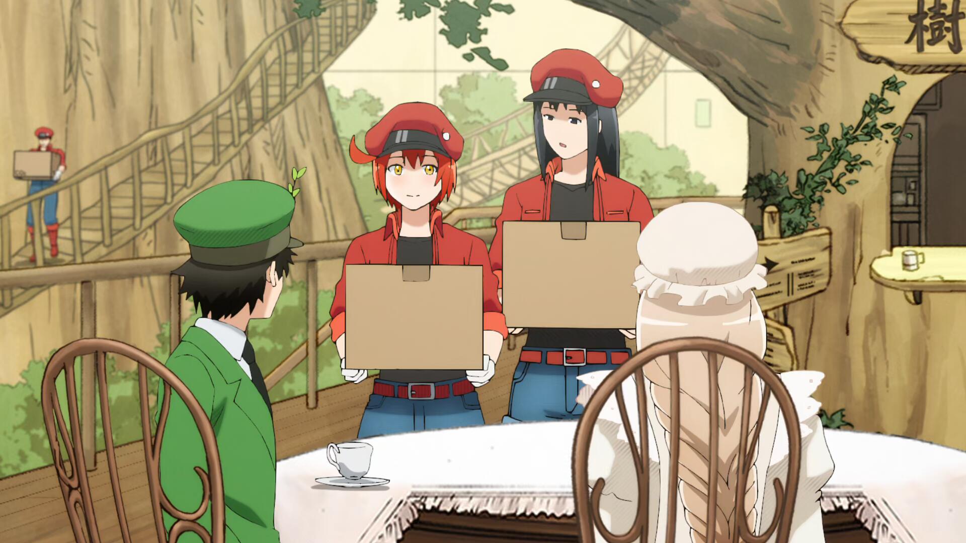 工作细胞 第一季 Hataraku Saibou 113+SP [BD 1920×1080 HEVC x265 10bit][简繁内封字幕]-ACG-二次元游戏动漫视频分享平台