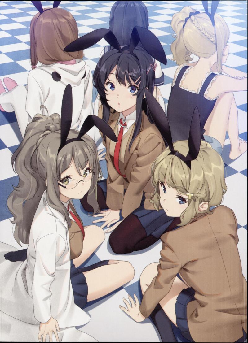 青春猪头少年不会梦到兔女郎学姐 Seishun Buta Yarou wa Bunny Girl Senpai no Yume wo Minai(2018)[1920×1080][TV13+menu15+NCoped6+SP4][x264m4a][10b-ACG-二次元游戏动漫视频分享平台