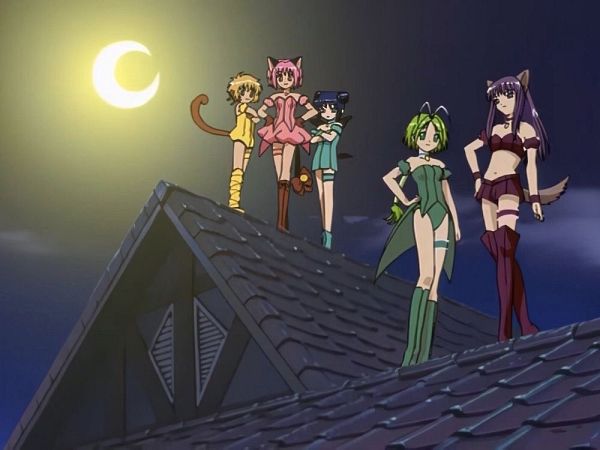 Tokyo Mew Mew (Ikumi Mia) #4059508-ACG-二次元游戏动漫视频分享平台