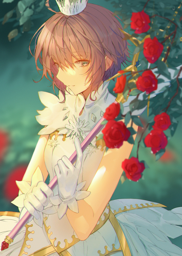 43 - イルレ - さくら[pid=67560486]