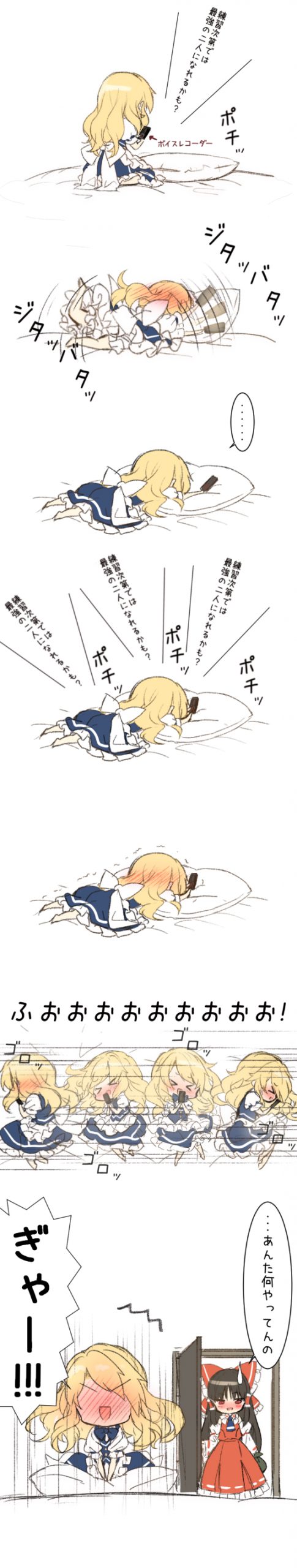 45 - ぴよ吉 - 霊夢「意外とあんたとコンビを組んで戦った事って殆ど無かったけど[pid=67383319]