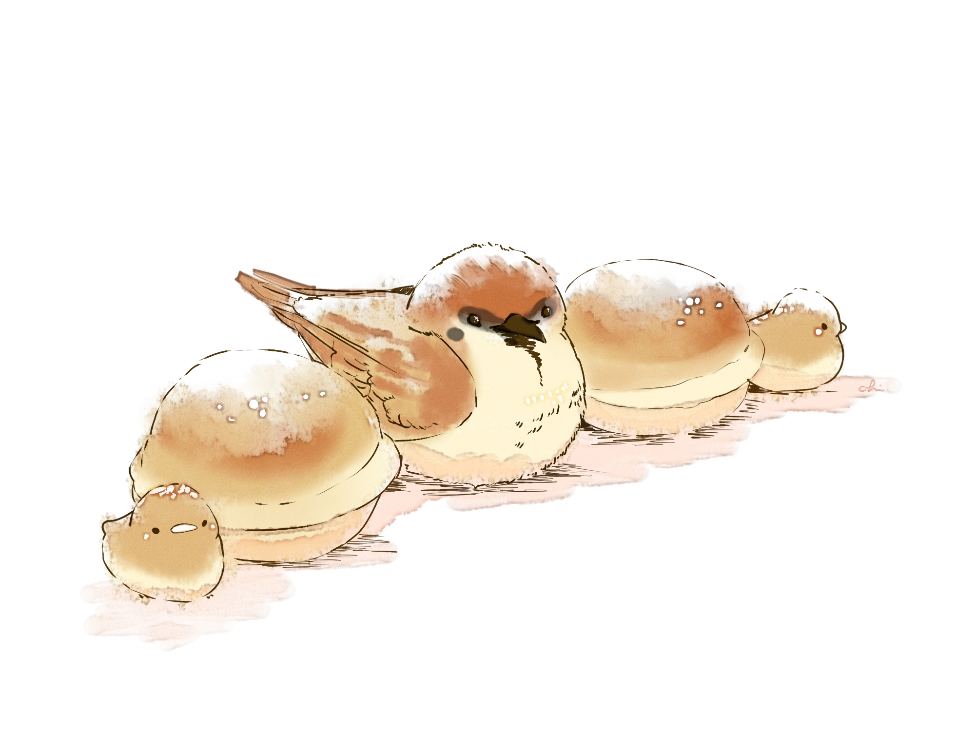 46 - チャイ - すずカステラ[pid=68305686]