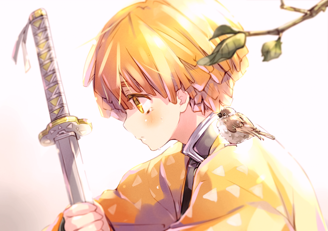 40 – 玖珂つかさ – 善逸さん[pid=75692848]-ACG-二次元游戏动漫视频分享平台